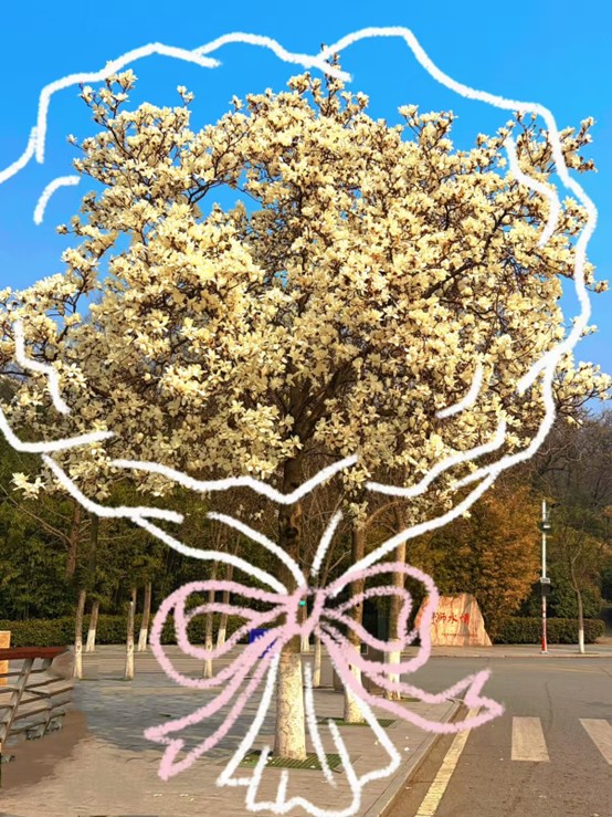 春韵留光 影绘校园——太阳成集团tyc234cc第二...